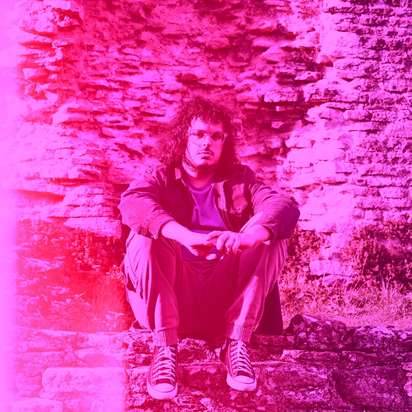 Luca of violet oscillation sitting on a rock in front of a dry stone wall, in pink-tinted light